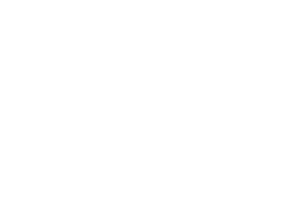 Sudetendeutsche Stiftung logo